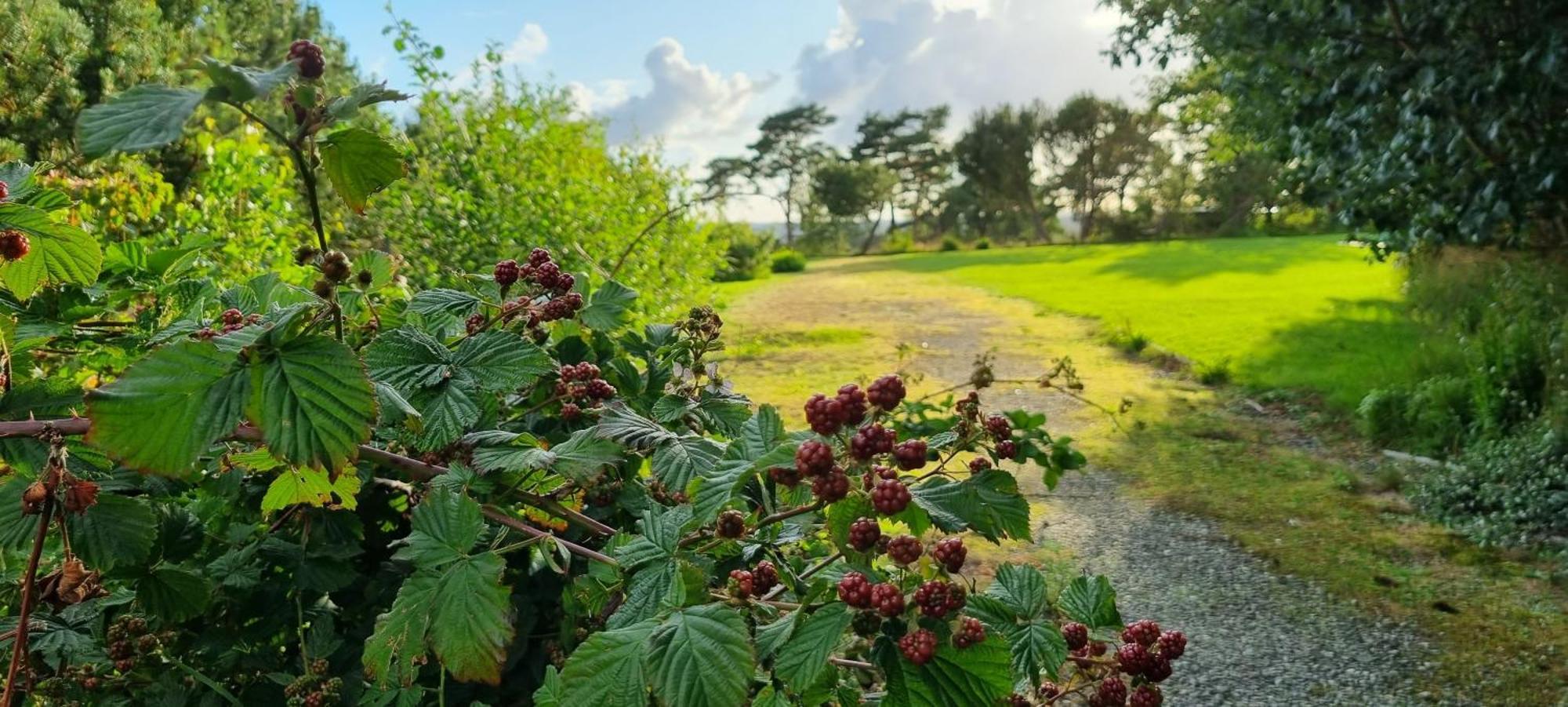 Gg Village Askim المظهر الخارجي الصورة